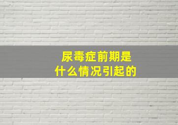 尿毒症前期是什么情况引起的