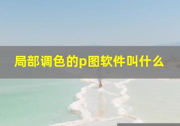 局部调色的p图软件叫什么