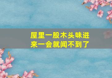 屋里一股木头味进来一会就闻不到了