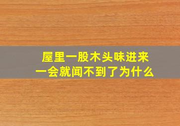 屋里一股木头味进来一会就闻不到了为什么