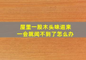 屋里一股木头味进来一会就闻不到了怎么办