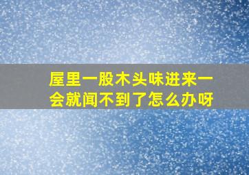 屋里一股木头味进来一会就闻不到了怎么办呀