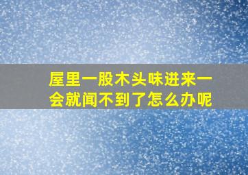 屋里一股木头味进来一会就闻不到了怎么办呢