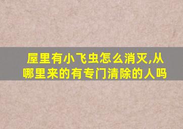 屋里有小飞虫怎么消灭,从哪里来的有专门清除的人吗