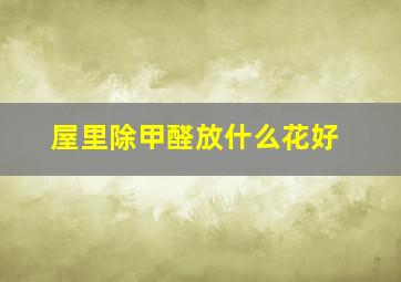 屋里除甲醛放什么花好