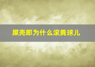 屎壳郎为什么滚粪球儿