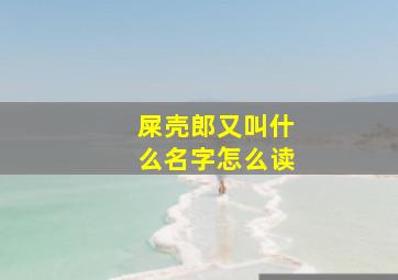 屎壳郎又叫什么名字怎么读