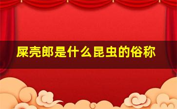 屎壳郎是什么昆虫的俗称