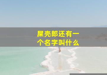 屎壳郎还有一个名字叫什么