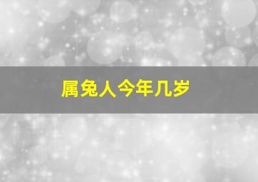 属兔人今年几岁