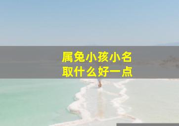 属兔小孩小名取什么好一点