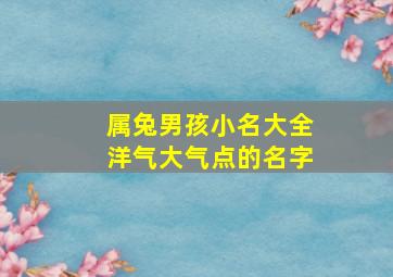 属兔男孩小名大全洋气大气点的名字