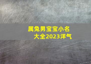 属兔男宝宝小名大全2023洋气