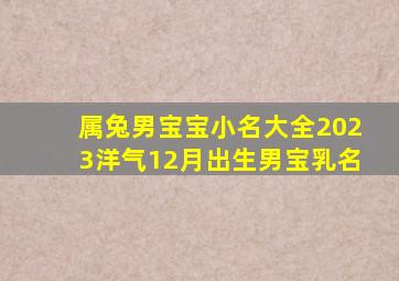 属兔男宝宝小名大全2023洋气12月出生男宝乳名