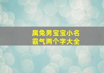 属兔男宝宝小名霸气两个字大全