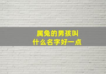 属兔的男孩叫什么名字好一点