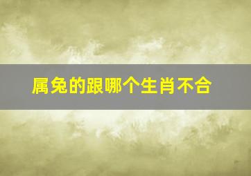 属兔的跟哪个生肖不合