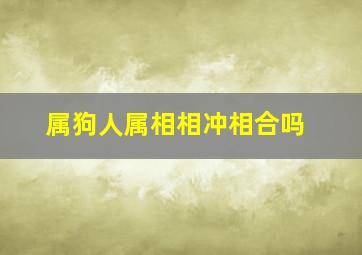 属狗人属相相冲相合吗