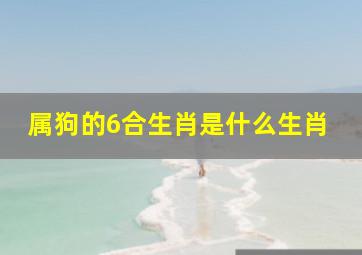 属狗的6合生肖是什么生肖