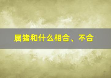 属猪和什么相合、不合