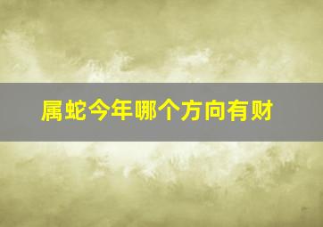 属蛇今年哪个方向有财