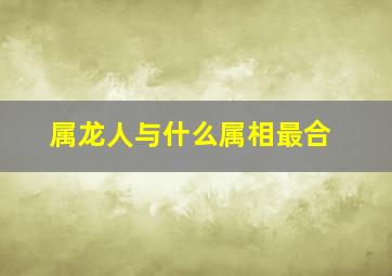 属龙人与什么属相最合