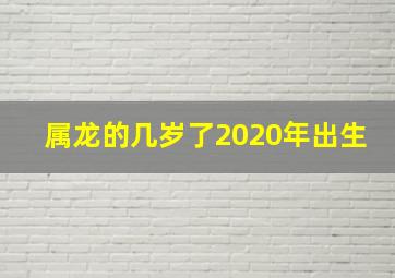 属龙的几岁了2020年出生