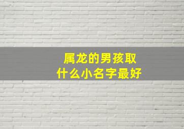 属龙的男孩取什么小名字最好