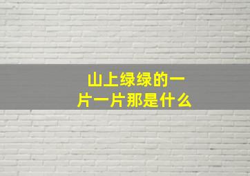 山上绿绿的一片一片那是什么