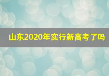 山东2020年实行新高考了吗