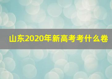 山东2020年新高考考什么卷