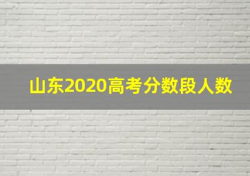 山东2020高考分数段人数