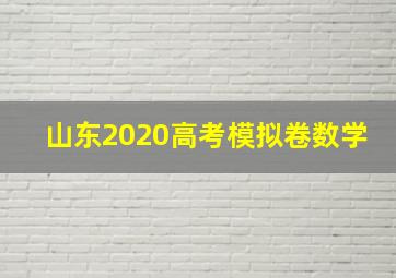 山东2020高考模拟卷数学