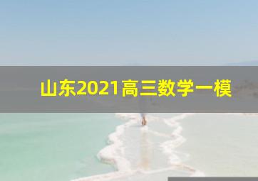 山东2021高三数学一模