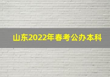 山东2022年春考公办本科