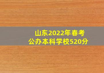 山东2022年春考公办本科学校520分