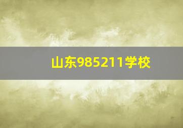 山东985211学校