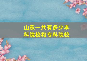 山东一共有多少本科院校和专科院校