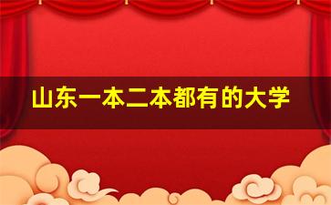 山东一本二本都有的大学