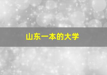 山东一本的大学