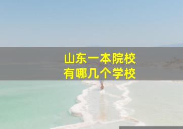 山东一本院校有哪几个学校