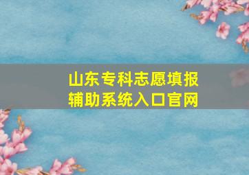 山东专科志愿填报辅助系统入口官网