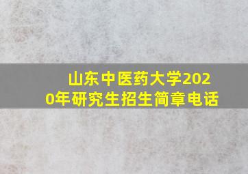 山东中医药大学2020年研究生招生简章电话