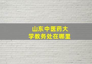 山东中医药大学教务处在哪里