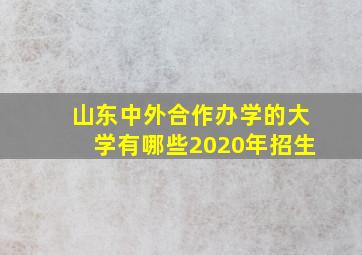 山东中外合作办学的大学有哪些2020年招生