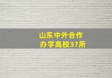 山东中外合作办学高校37所