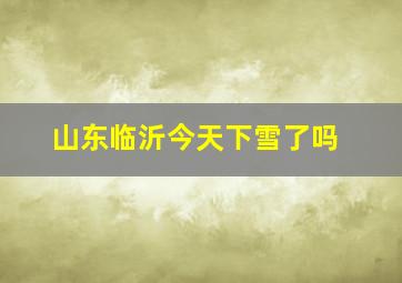 山东临沂今天下雪了吗