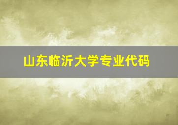 山东临沂大学专业代码