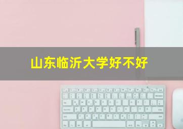 山东临沂大学好不好