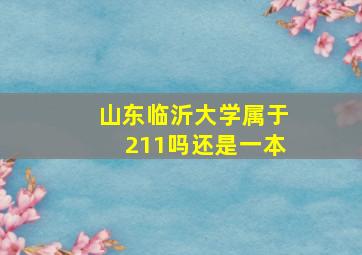 山东临沂大学属于211吗还是一本